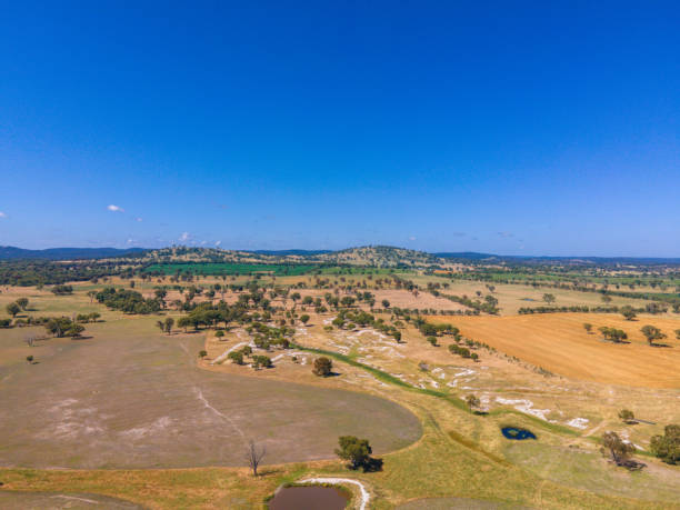 istock Tent Hill, NSW, 2371, Australia 1364741560