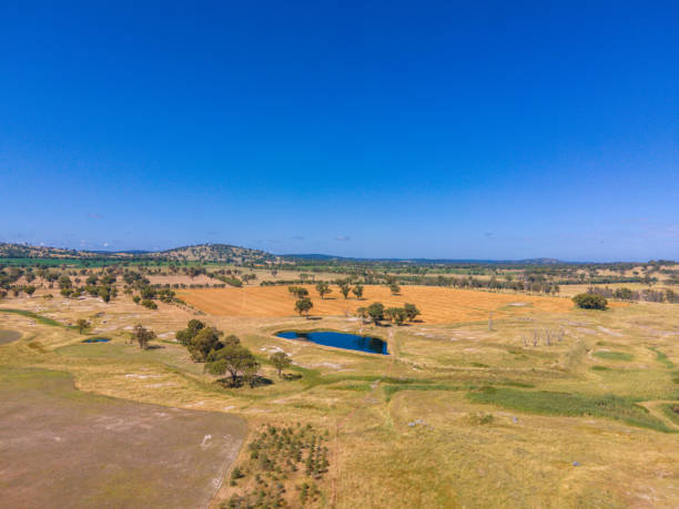 istock Tent Hill, NSW, 2371, Australia 1364742194