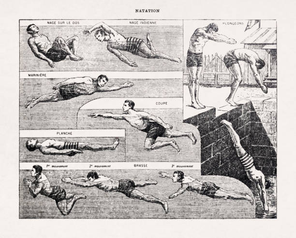 illustrazioni stock, clip art, cartoni animati e icone di tendenza di illustrazione del 19 ° secolo sugli stili di nuoto - old book illustrations