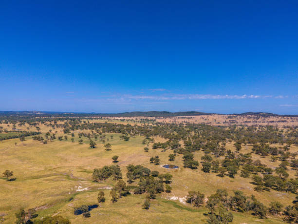 istock Tent Hill, NSW, 2371, Australia 1364742346