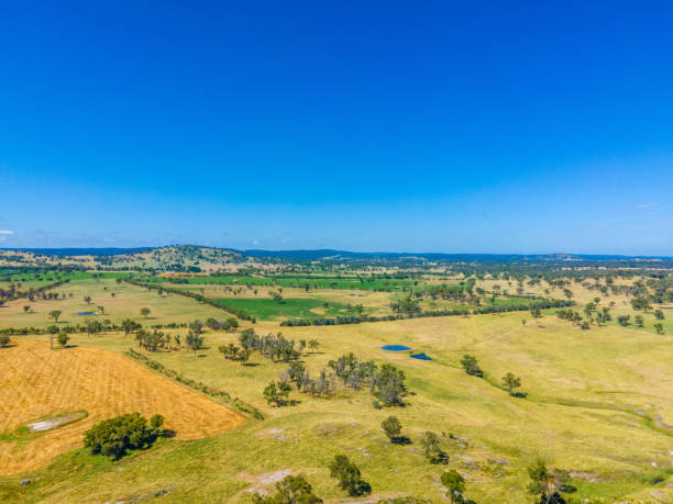 istock Tent Hill, NSW, 2371, Australia 1364742382