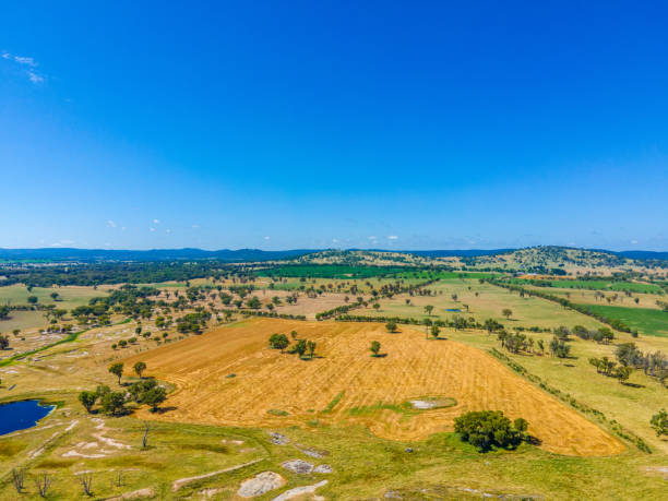 istock Tent Hill, NSW, 2371, Australia 1364742400