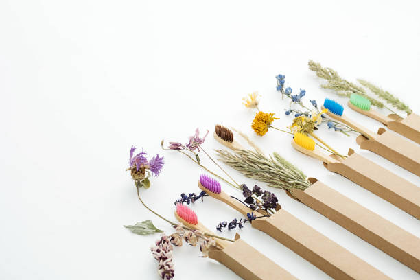 istock Multicolored bamboo toothbrushes with dried flowers. Zero wast wooden toothbrushes personal hygiene oral care accessories. Plastic free, eco friendly, sustainable lifestyle concept. 1364742455