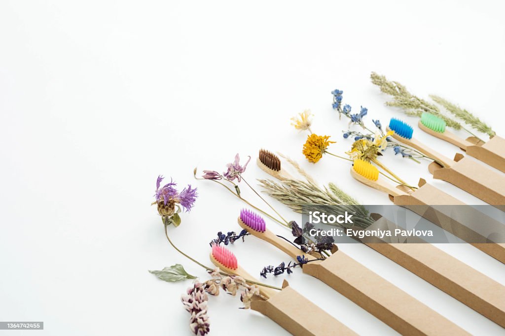 Multicolored bamboo toothbrushes with dried flowers. Zero wast wooden toothbrushes personal hygiene oral care accessories. Plastic free, eco friendly, sustainable lifestyle concept. Dental Health Stock Photo