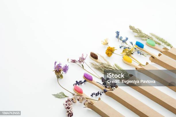 Multicolored Bamboo Toothbrushes With Dried Flowers Zero Wast Wooden Toothbrushes Personal Hygiene Oral Care Accessories Plastic Free Eco Friendly Sustainable Lifestyle Concept Stock Photo - Download Image Now