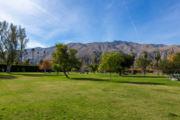istock Public Park in Palm Springs, California 1364743391