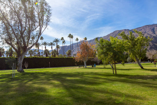 istock Empty picnic table at a park in Palm Springs 1364743449