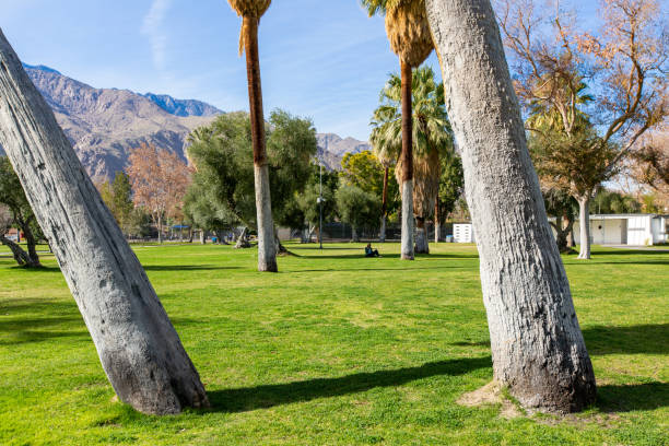 istock One woman relaxing in Palm Springs park 1364743461