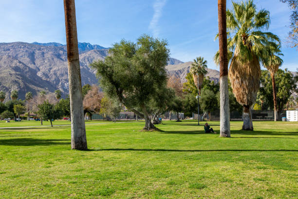istock One woman relaxing in Palm Springs park 1364743481