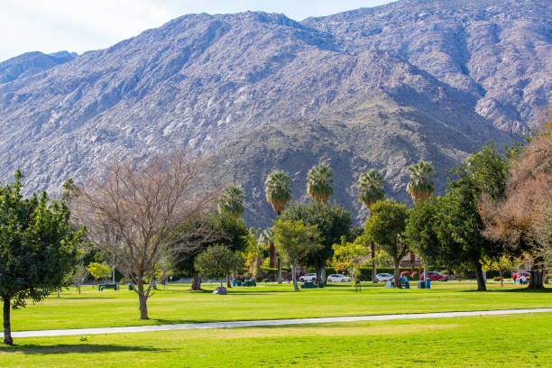 istock Ruth Hardy Park in Palm Springs, California 1364743500