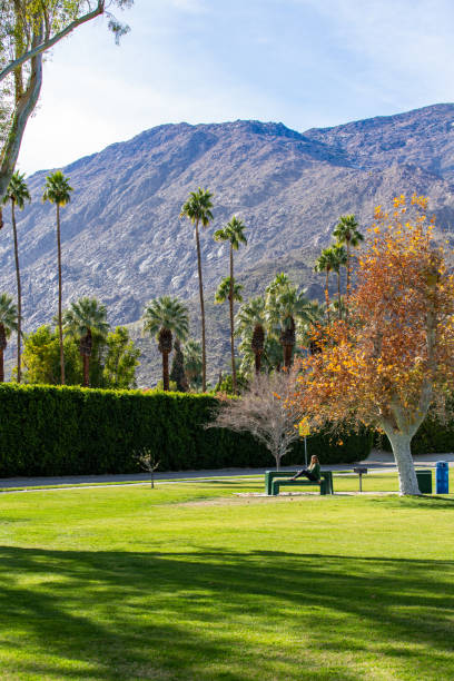 istock One woman relaxing in Palm Springs park 1364743517