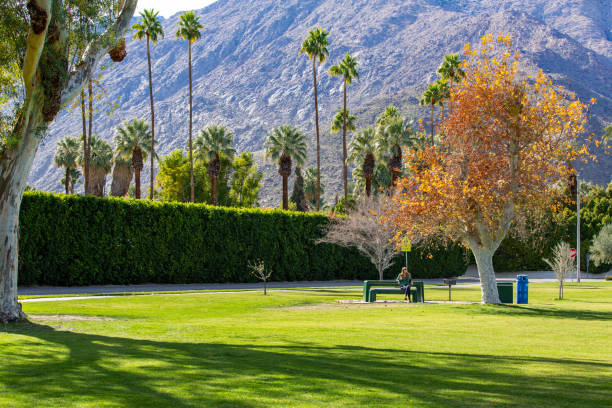 istock One woman relaxing in Palm Springs park 1364743518