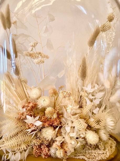 istock Dried Flowers in Glass Display Case 1364744208