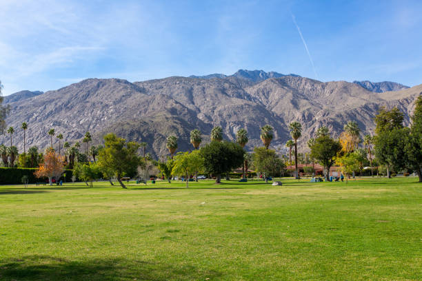 istock Grass area in Palm Springs park 1364744654