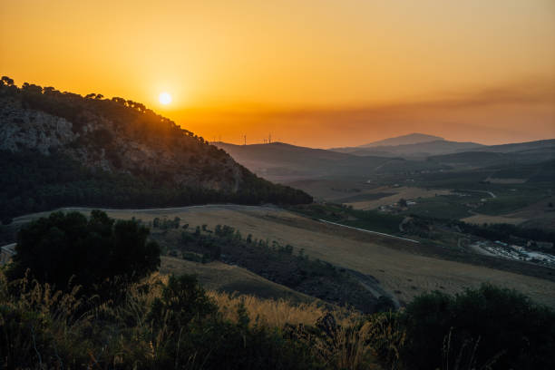 Sicilian landscape with vineyards.