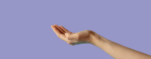 istock The hand is extended palm up.The hand is open and ready to help or accept. A gesture highlighted on a lilac background by a clipping contour. Very peri. 1364750513