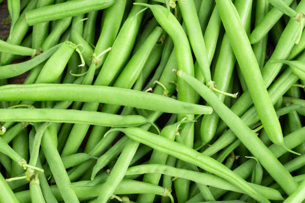 fondo de judías verdes. alimentación saludable. vista superior. - green bean fotos fotografías e imágenes de stock