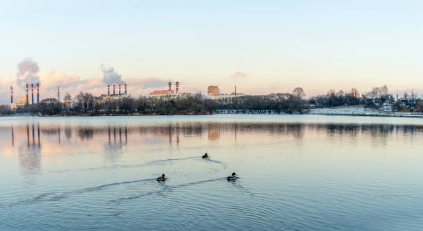 oiseaux sur le lac au coucher du soleil devant les cheminées d’usine. centrale hydroélectrique sur le lac avec des canards. - global warming smog city pollution photos et images de collection