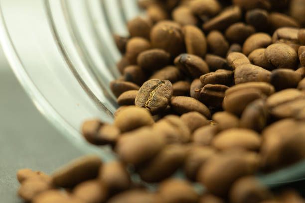 istock Focused one coffee bean among scattered ones from a glass jar. Selective focus picture 1364752926