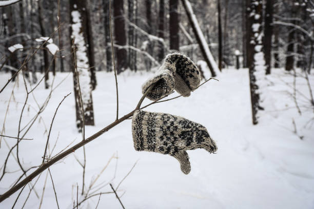 Old lost wool knitted mittens on a tree branch in winter on a cloudy day. Winter background. Outdoors.