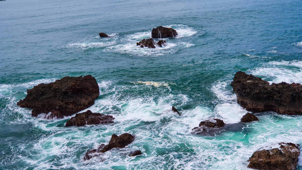 istock Sea and coral reef 1364753843