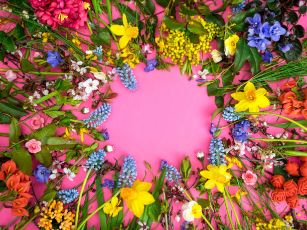 istock Creative layout of Spring season on pastel pink background 1364754039