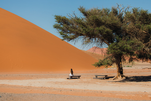 Young woman with long hair in white dress exploring Namibia, sitting under the tree against the Dune 45 in Namib-Naukluft National park
