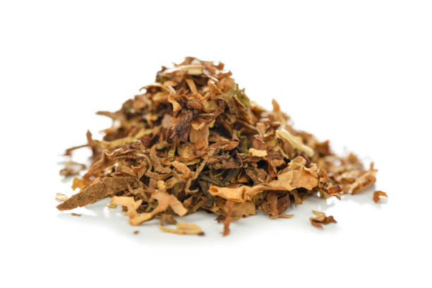 istock Heap of Tobacco 1364757200