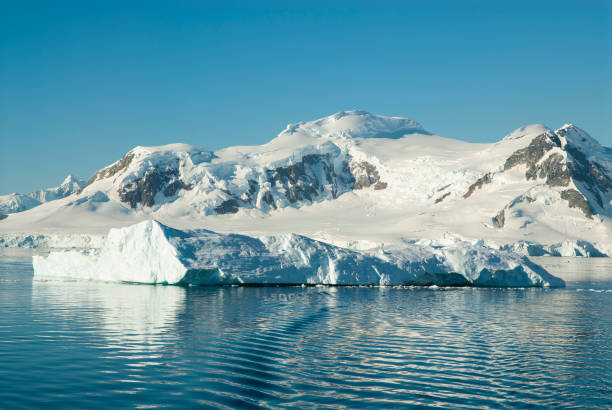 istock Paradise bay glaciers and mountains 1364758840