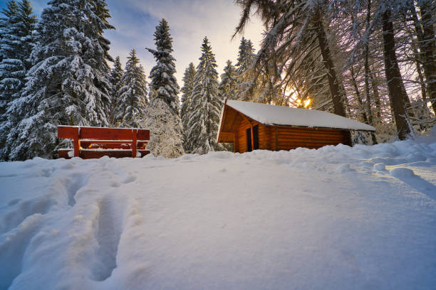 istock on the way in the Thuringian Forest 1364758965
