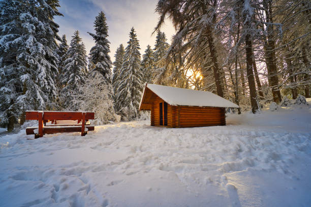 istock on the way in the Thuringian Forest 1364759861