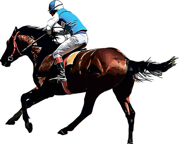istock Racehorse with jockey at races. Isolated on a white background 1364760907
