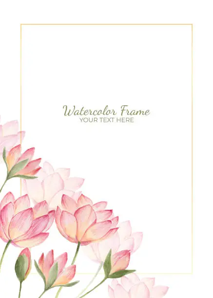 Vector illustration of Hand painted of lotus flower watercolor as background frame.