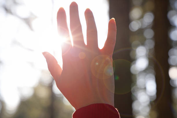istock Female hand touching the sun, sunlight passing through fingers 1364762509
