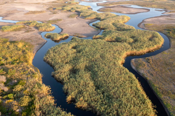 istock River flowing through a natural wetland 1364764392