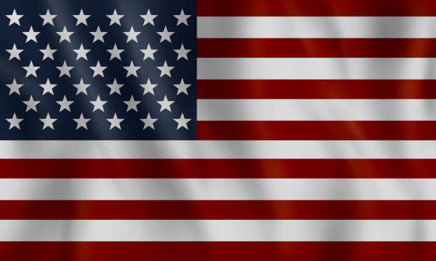 3d illustration of united states of america flag. vector art illustration