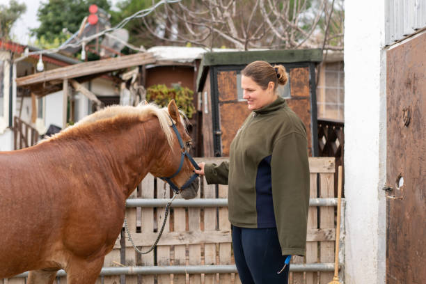 istock Young women preparing horse for grooming. 1364765259