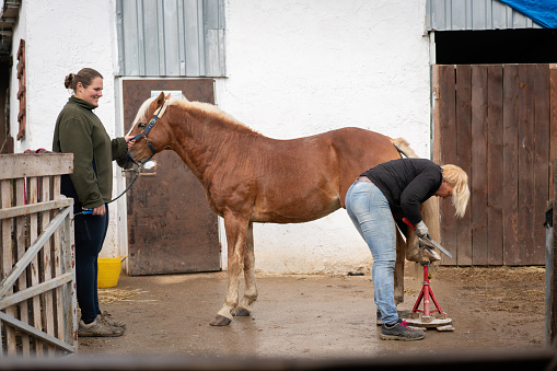Two woman checking her horse's hooves .