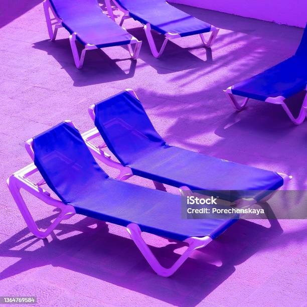 Sun Loungers In Luxurious Resort Background Travel Summervacation Relax Concept Purple Colors Trend Stock Photo - Download Image Now