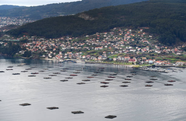 istock Vigo City Lakes 1364770541
