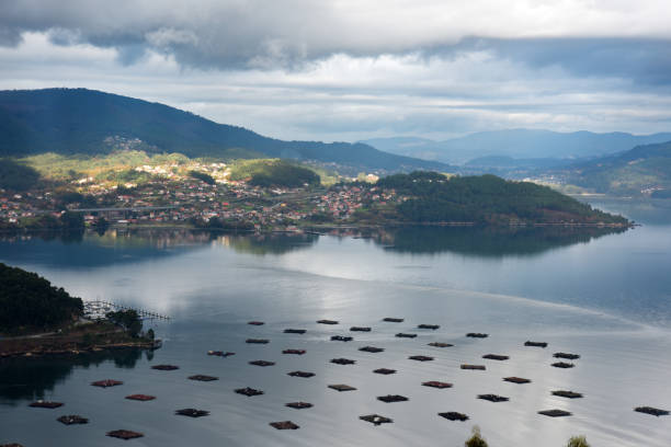 istock Vigo City Lakes 1364770755
