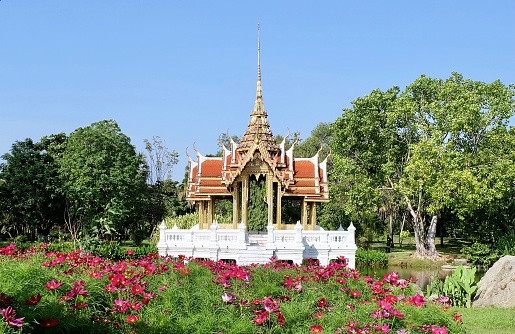 Thai Pavilion or Gazebo with Pink Cosmos Flowers, A Garden Outbuildings in Suan Luang Rama 9 in Bangkok, Thailand.