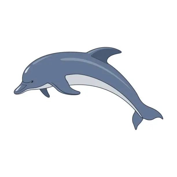 Vector illustration of The gray dolphin jumps