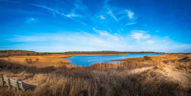 coastal wildlife animal and seabird sanctuary lagoon with a wooden bench on the hill covered with golden grasses. beautiful cape cod scenery in winter along the south cape beach in mashpee, massachusetts. - beach bench cape cod sunset imagens e fotografias de stock