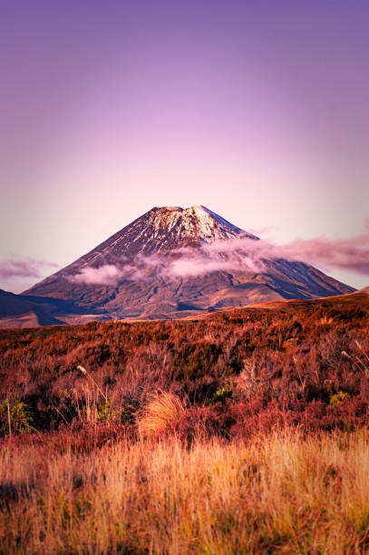 Manawatu-Wanganui, New Zealand.
