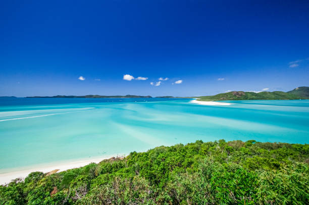imagem cênica de um local tropical com água cristalina e céu azul claro - lord howe island - fotografias e filmes do acervo
