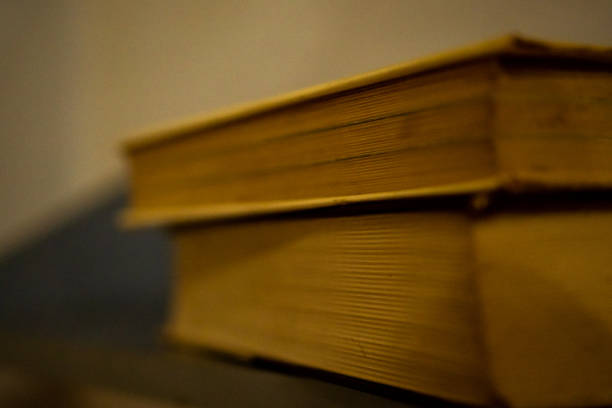 istock Close up on two old books lying on the shelf. 1364788402