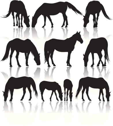 Silhouettes of different horses out in pasture.  Very detailed.