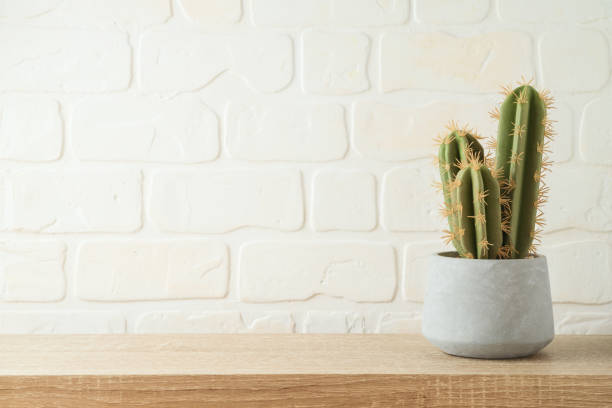 istock Empty wooden shelf with cactus over brick wall background. Kitchen mock up for design 1364790037