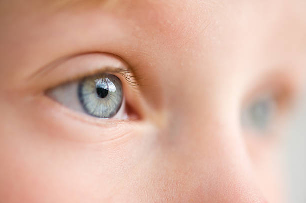 istock Little Girl Blue Eyes 136479201